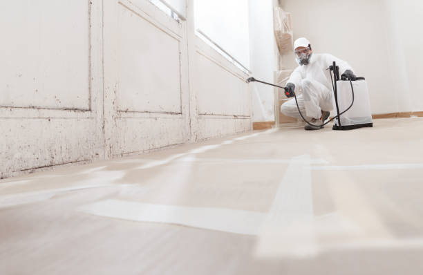 24/7 Emergency Mold Removal experts in Conklin, MI
